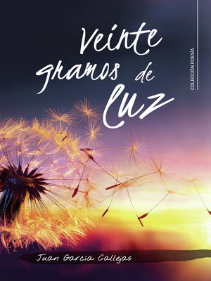 cover image of Veinte gramos de luz